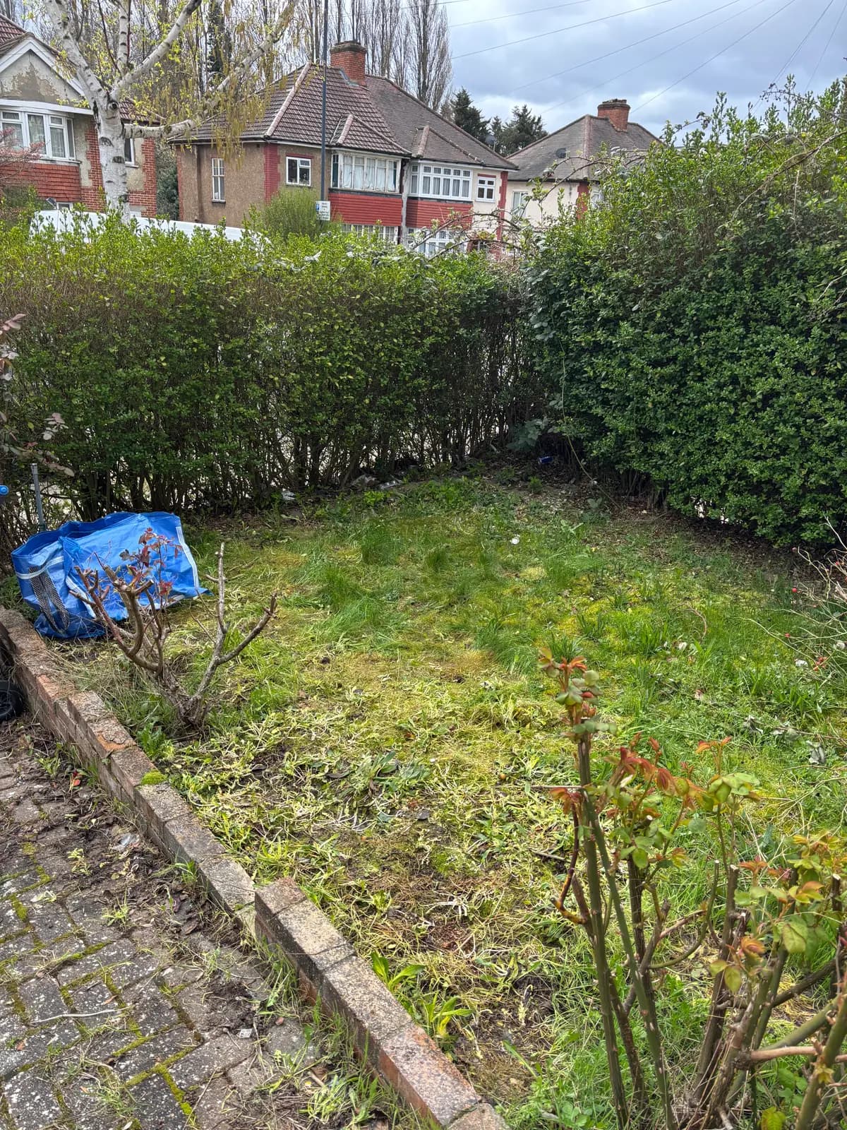 After garden clearance waste removal — cleared and tidy